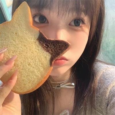 危险动物